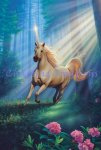Snippet Secret Forest (image for) Snippet Secret Forest